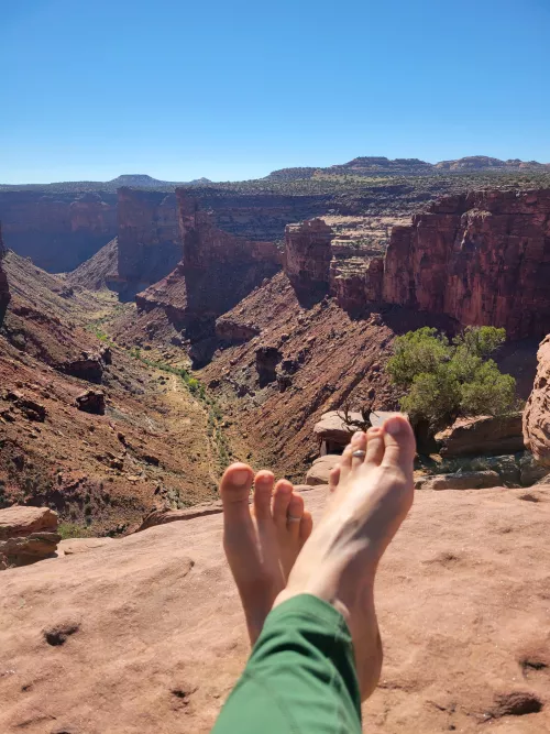 who needs this today?