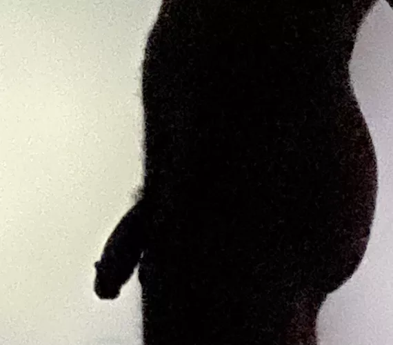 Who wants to compare? 👀