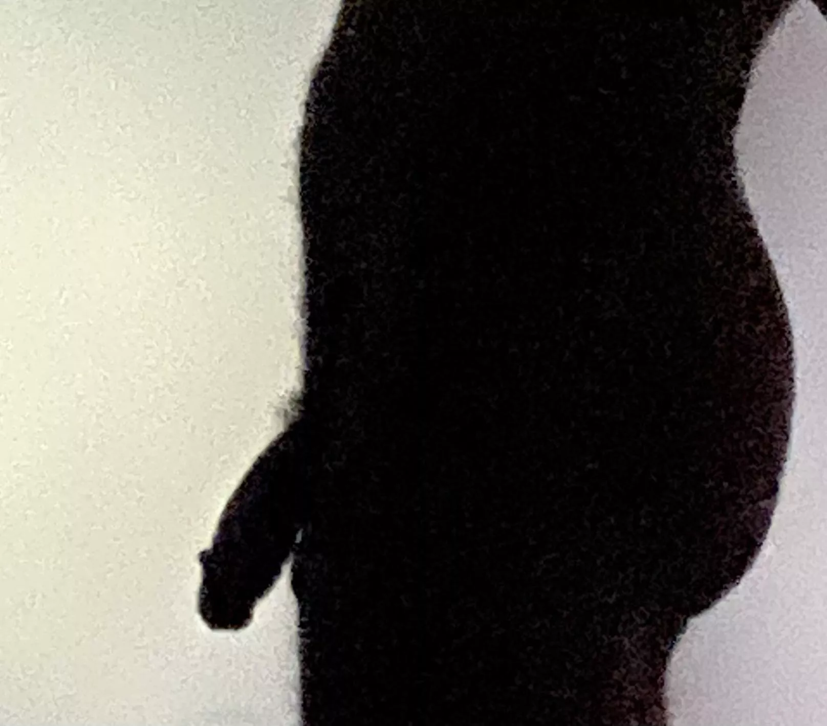 Who wants to compare? 👀