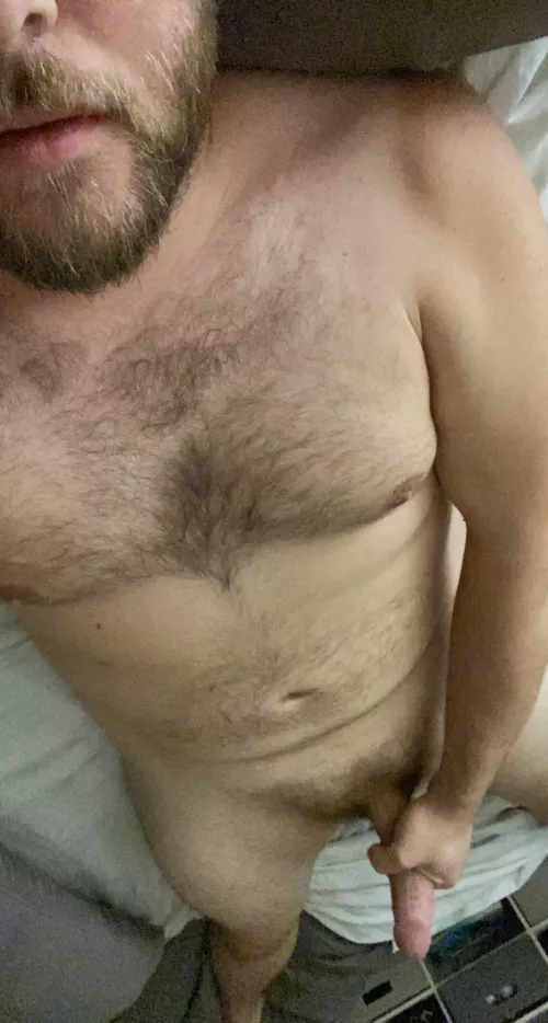 Big daddy with a big curved dick, wanna take a ride?