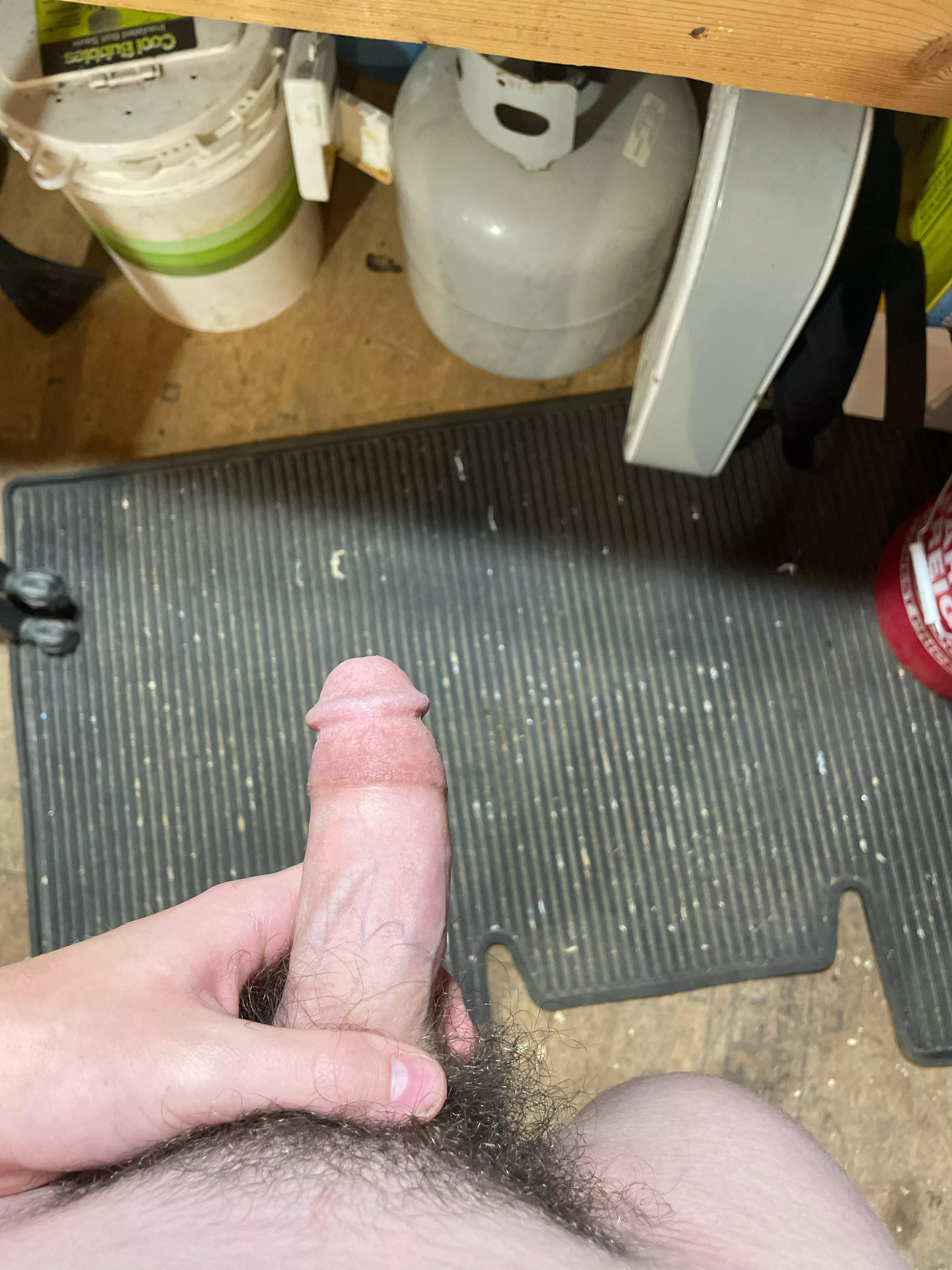 Boner in the shop anyone willing to help out😈