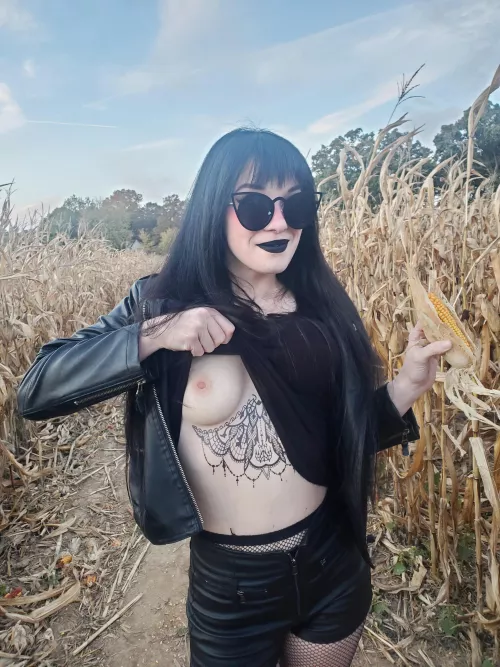 get lost in the cornmaze with me