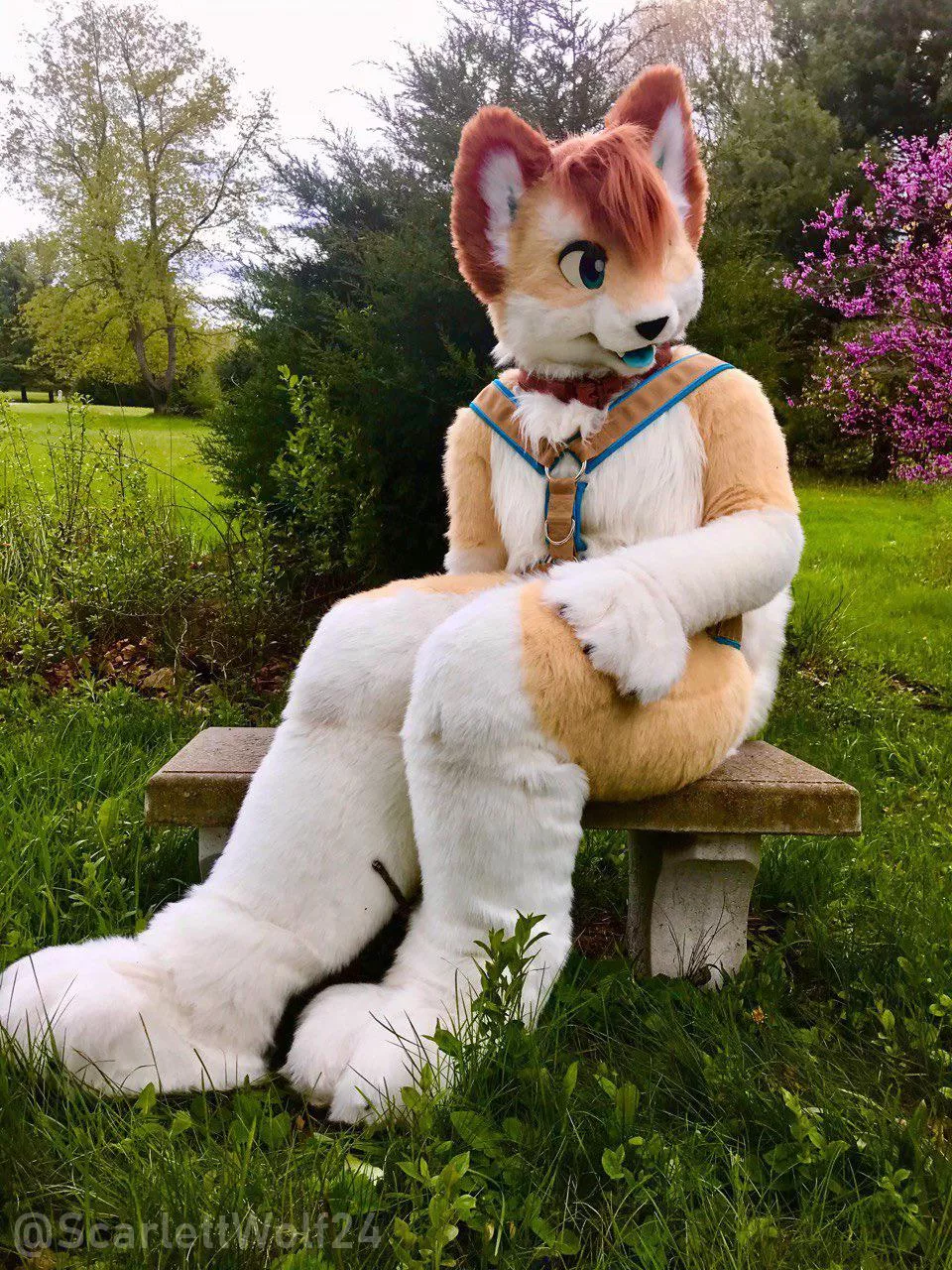 Happy #FursuitFriday! 🐾🐾