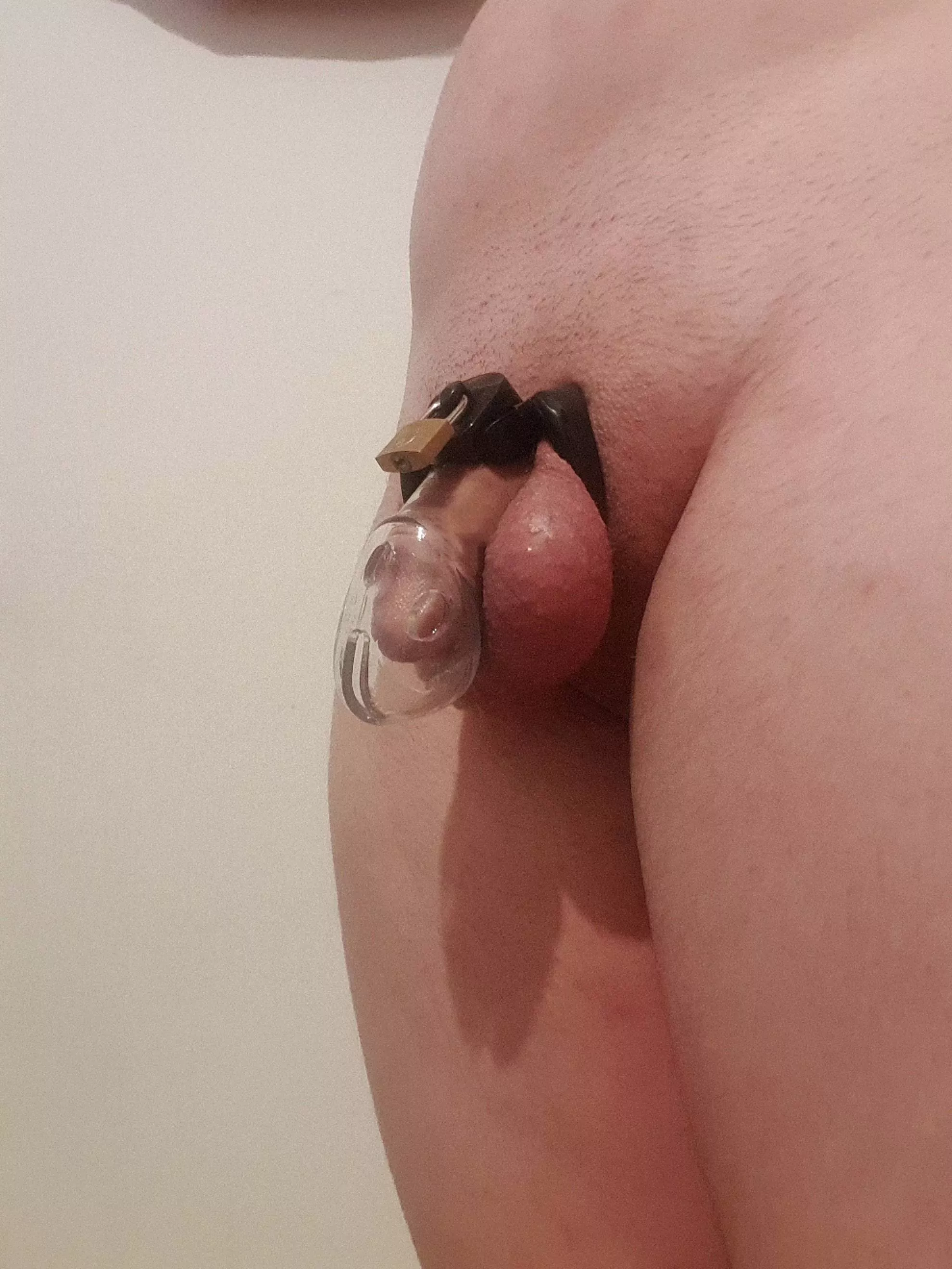 I need a much smaller one i think. Look at all the empty space my small cock has in the cage. It truly is a grower now a shower lol