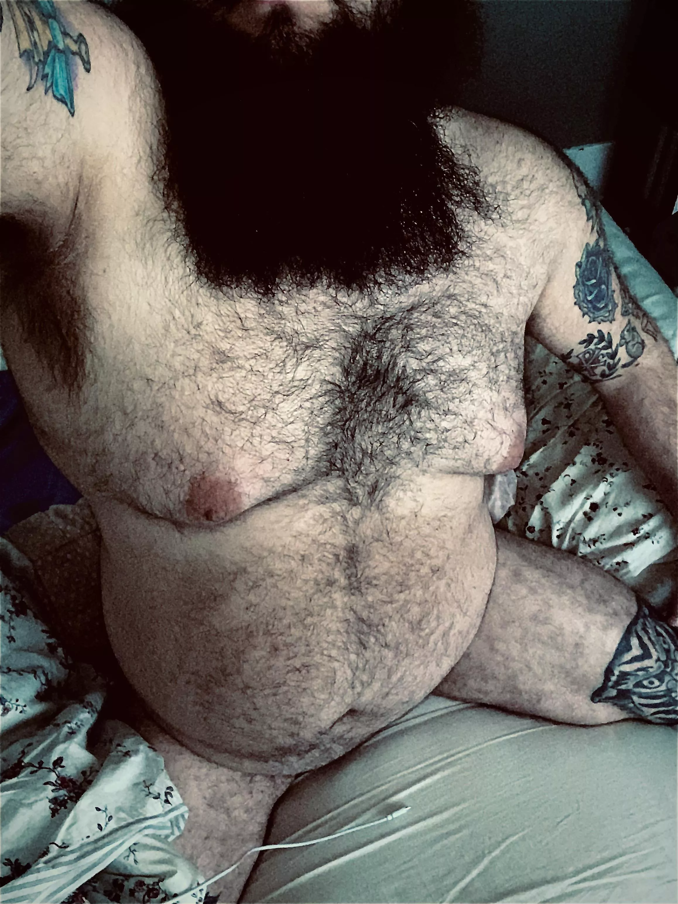 My first post here! Hope everyone is having a fantastic day 🐻