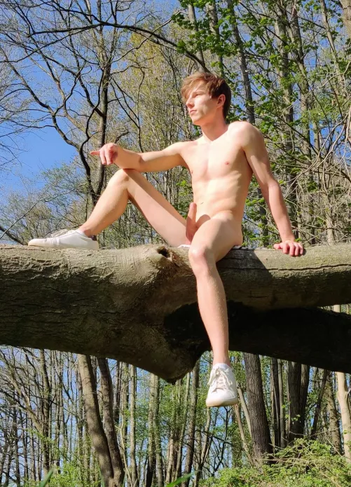 You can find me on fallen trees 🌳🤩