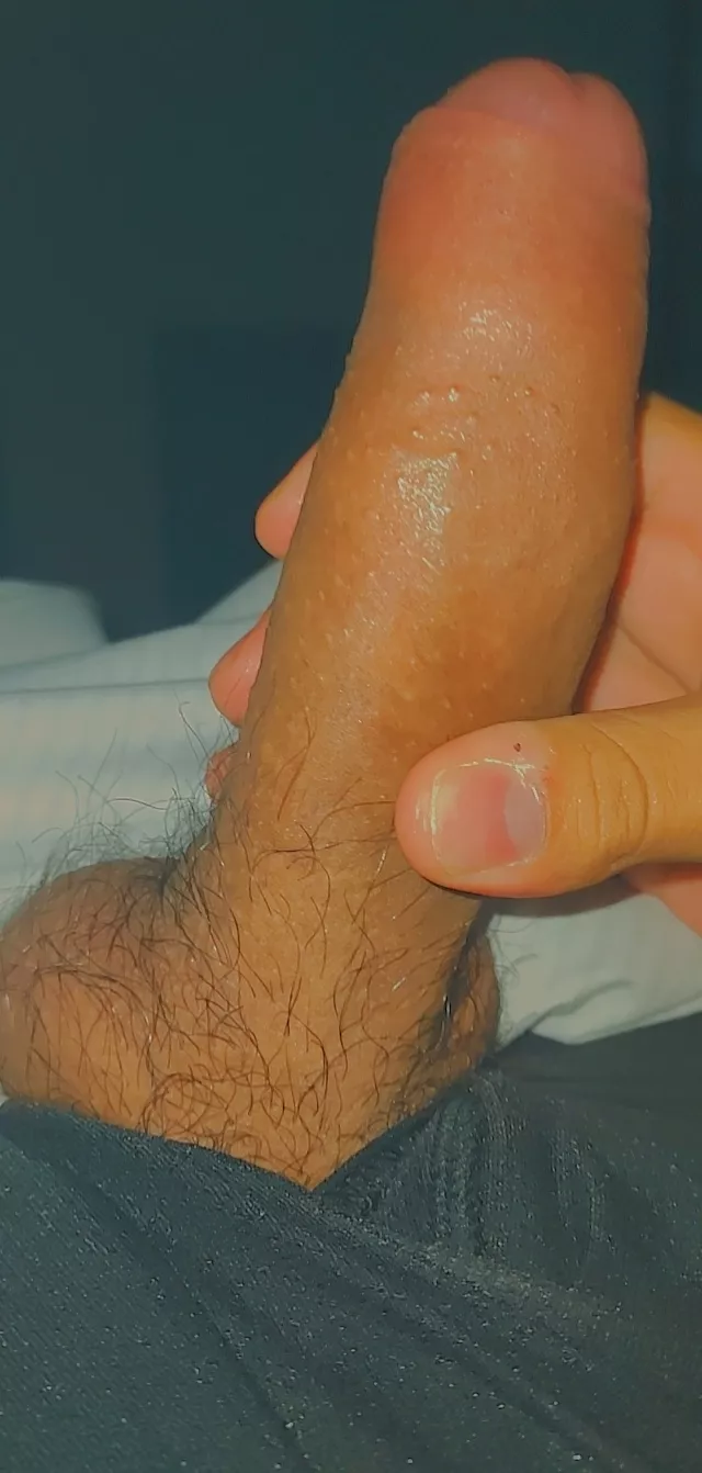 I need my dick sucked before work