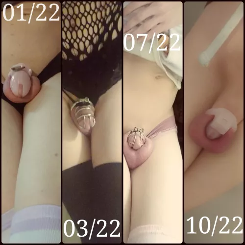 my progression through chastity 🥰