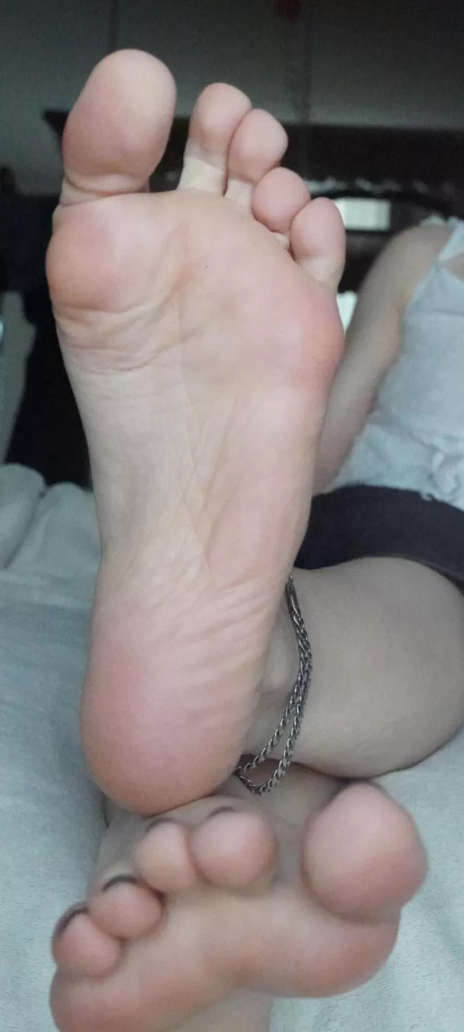 Soft soles waiting for their morning massage 😴