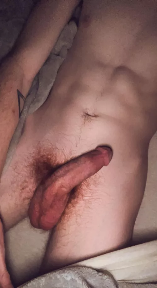 Back again looking for other bush lovers