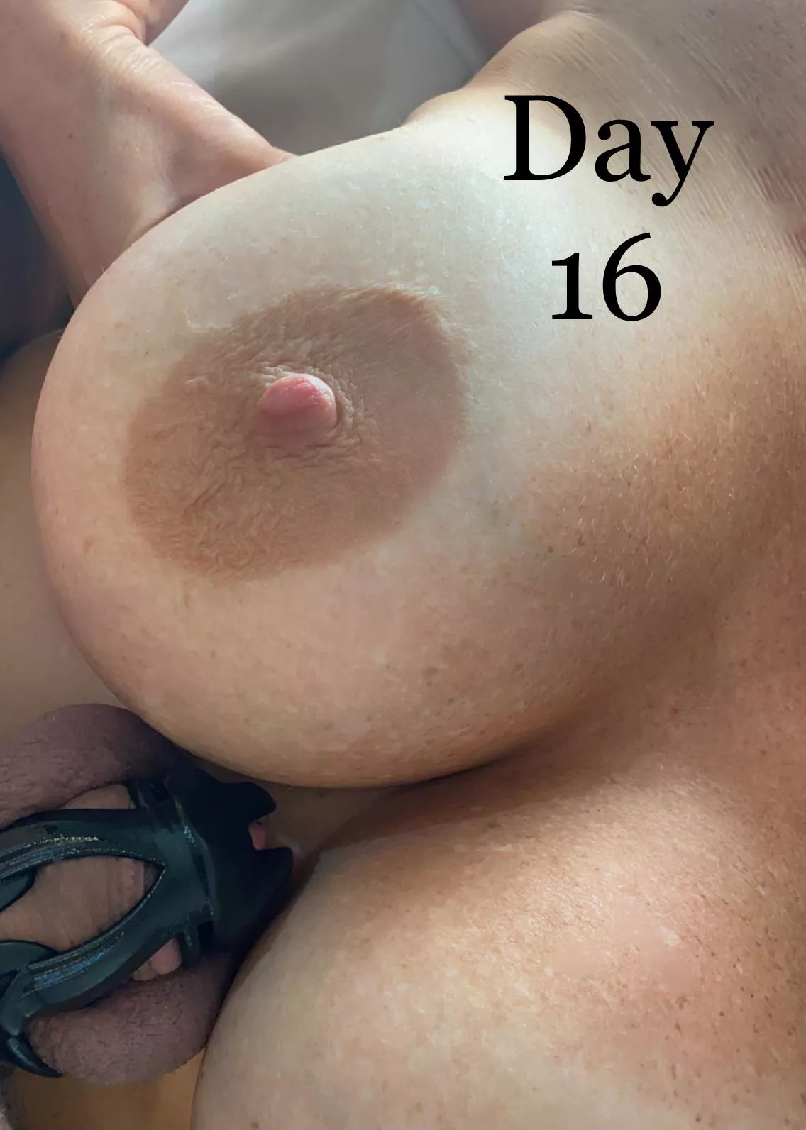 Day 16