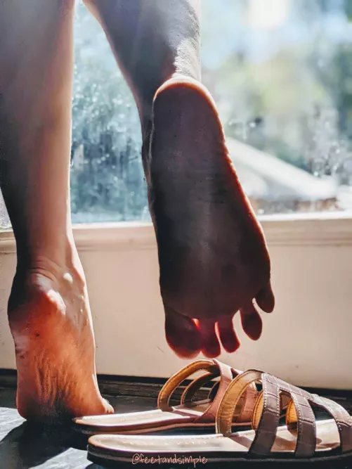 Here comes the sun... Now all I need is your tongue 👅