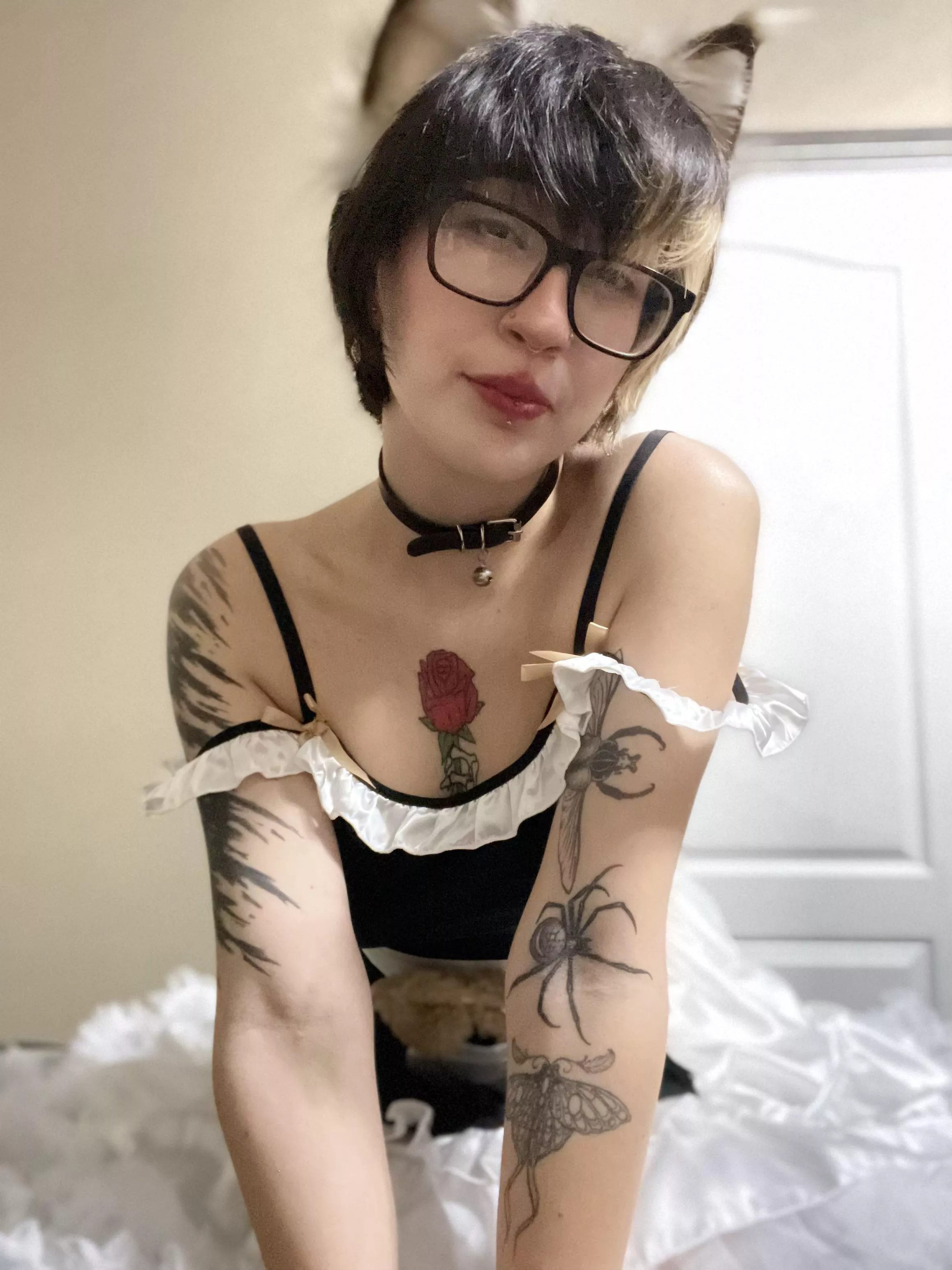 How would you use this PuppyMaid?