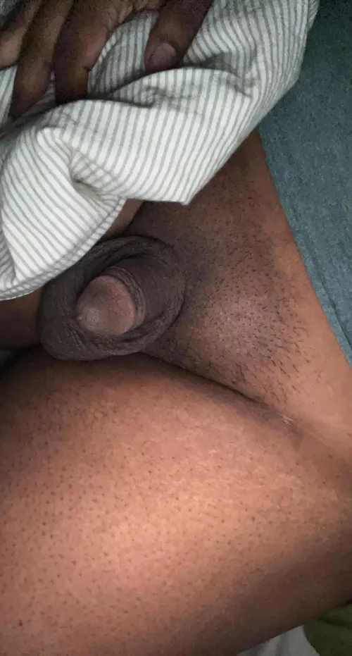 softie under the covers