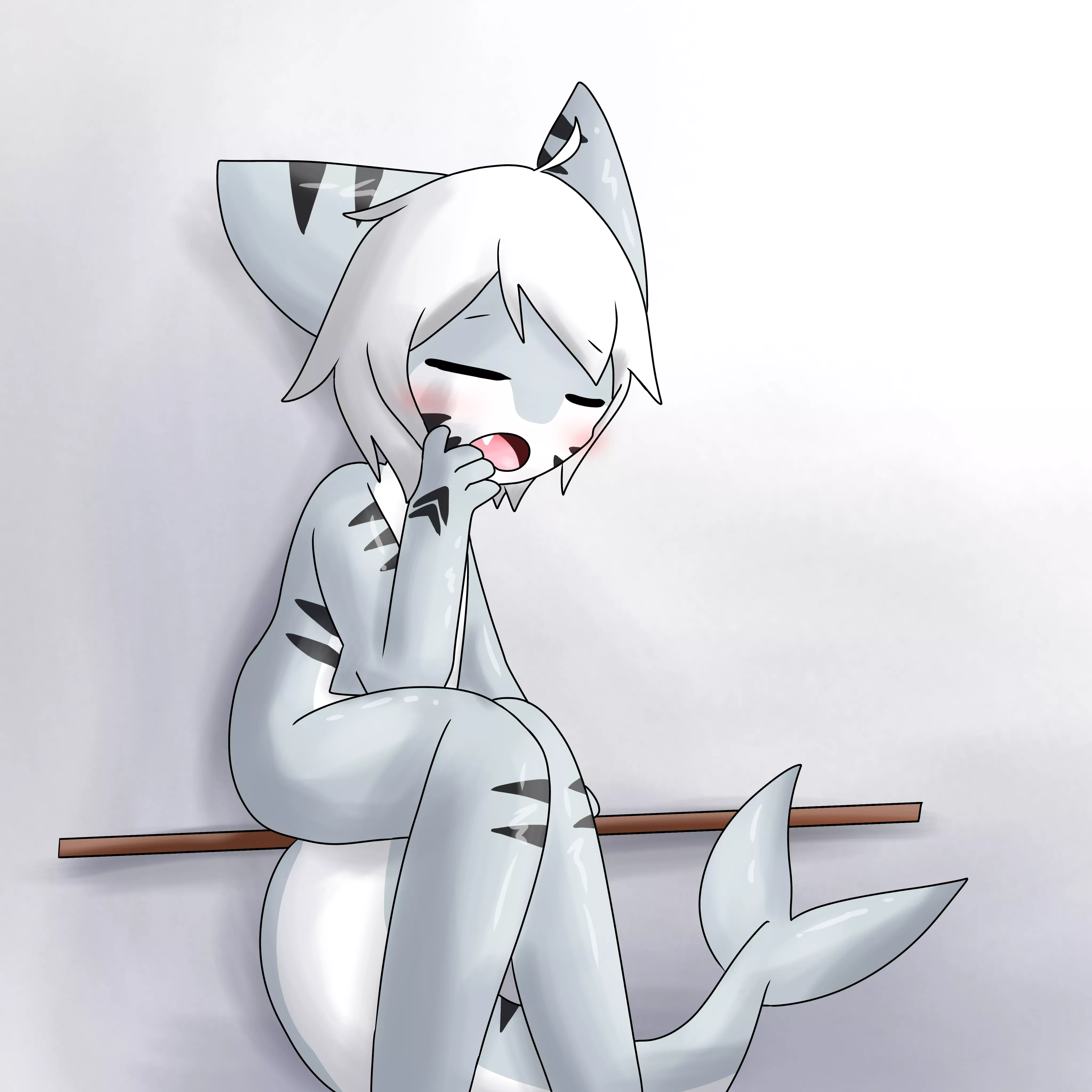 tired shork