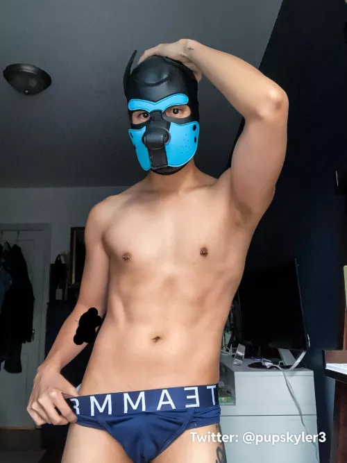 Wait. What do you mean pools are closed for the Fall?? 🥺🐾