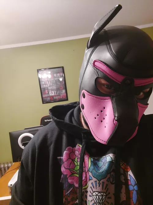 waiting for my harness to come in 🔥