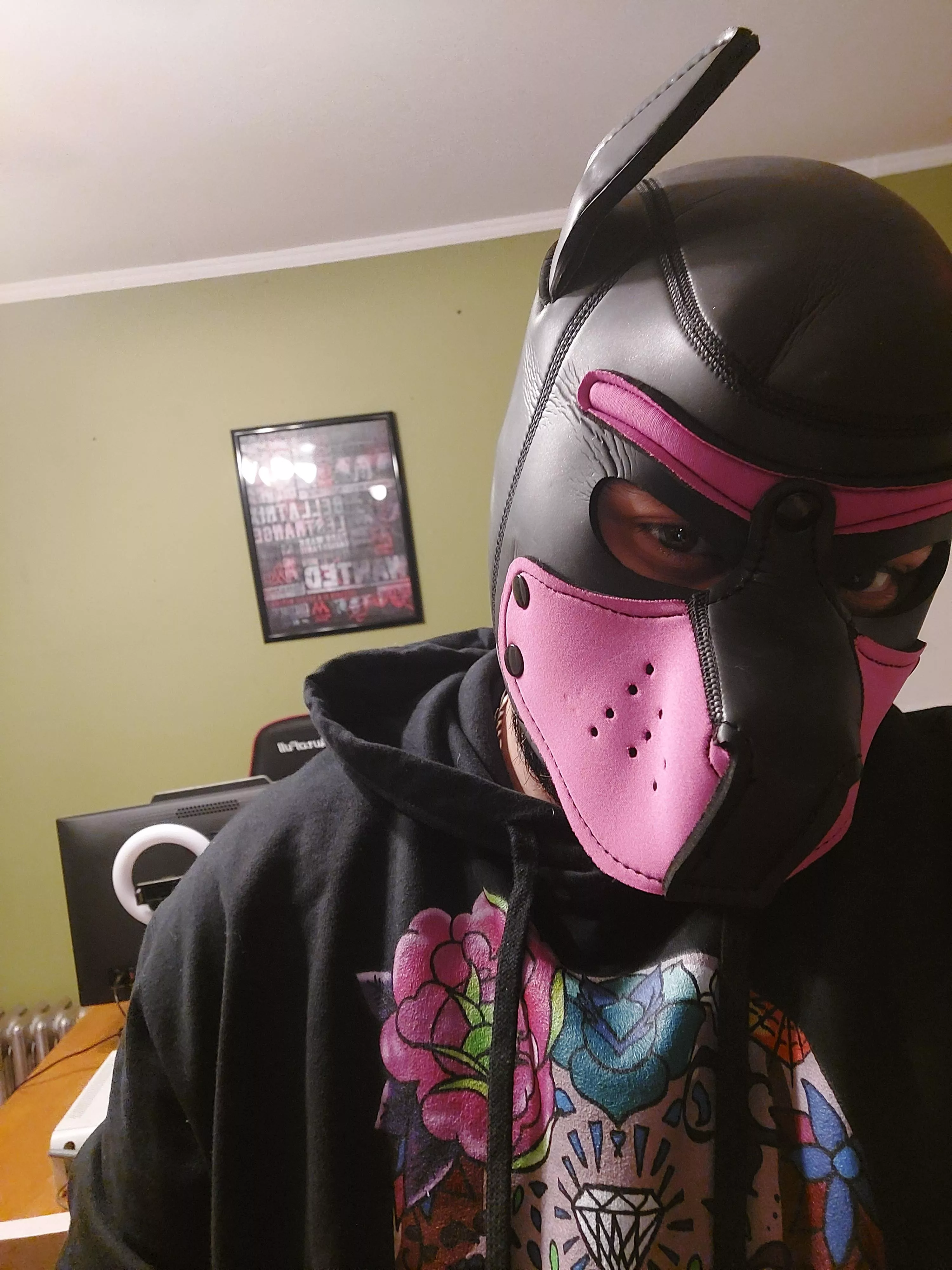 waiting for my harness to come in 🔥