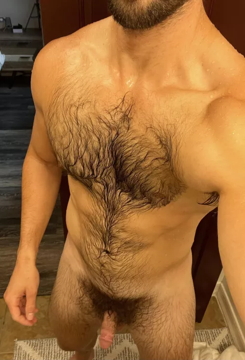 Wet fur