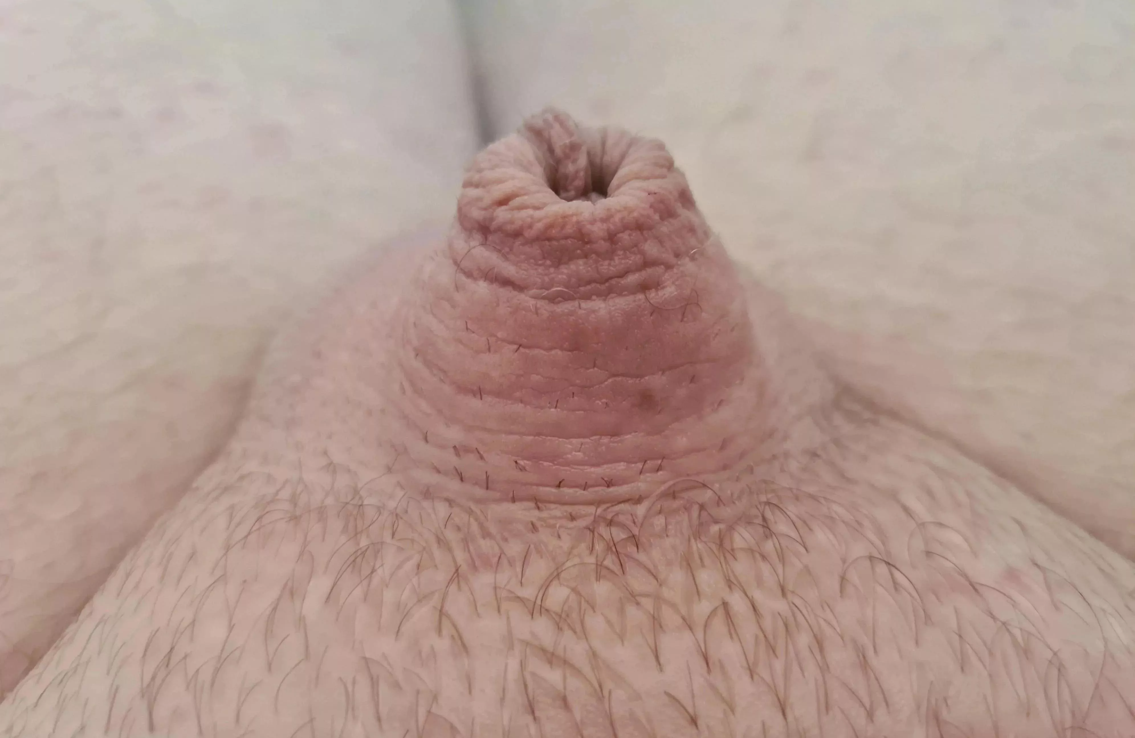 What does everyone think of my naturally tiny sissy clit?