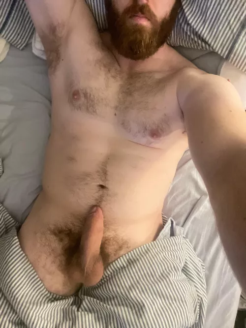 29, 6’5”, newly out as bi and looking to have my first experience with a man. Anyone wanna bend me over and help?