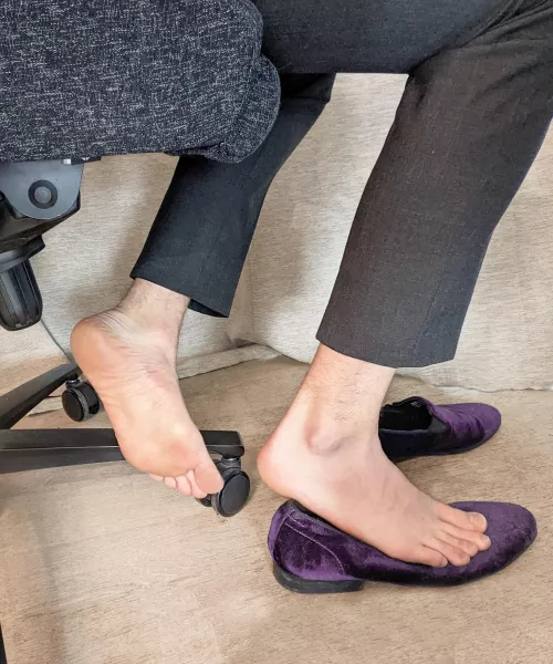 a boi took this pic while i was in a zoom meeting. i love the attention