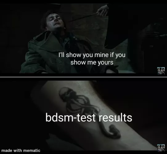 Bdsm meme :)