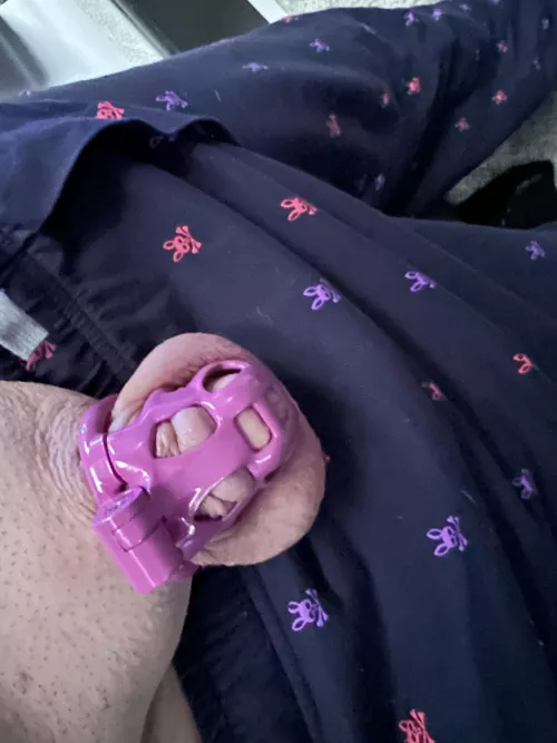 Day 18 locktober cage check