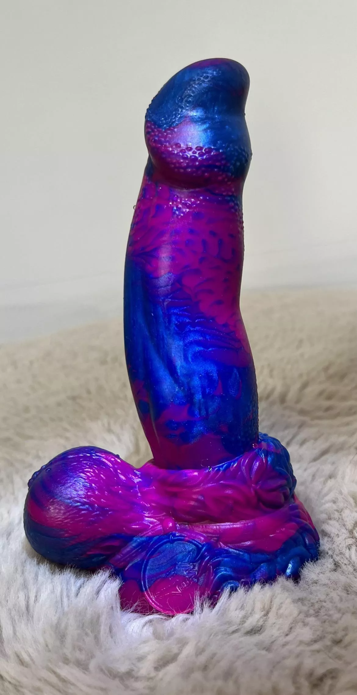 First BD! Mini/Med Ky’el~