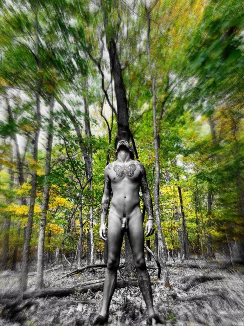 Freedom in the Forest