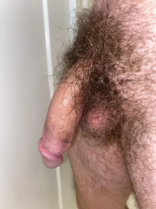 Hairy and musky. Make it hard for me.