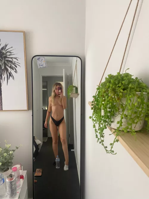 how cute is the plant!