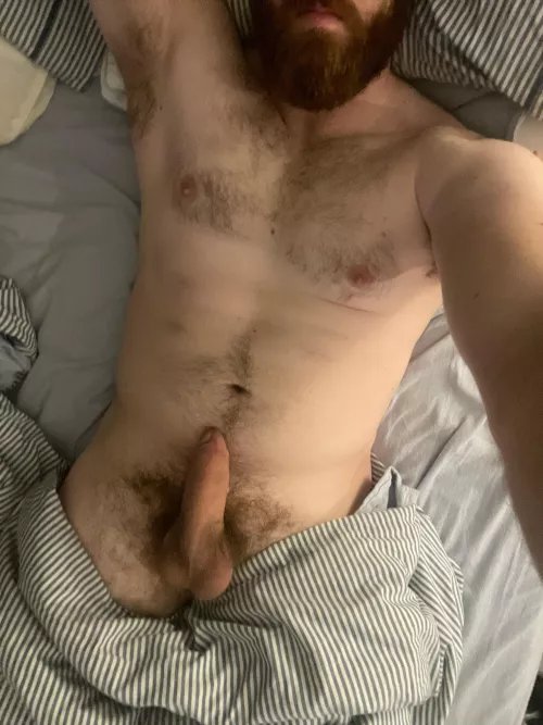 I’m 29, 6’5”, newly bi, and looking to please you with my thick cock and thick beard. Dm me if interested.
