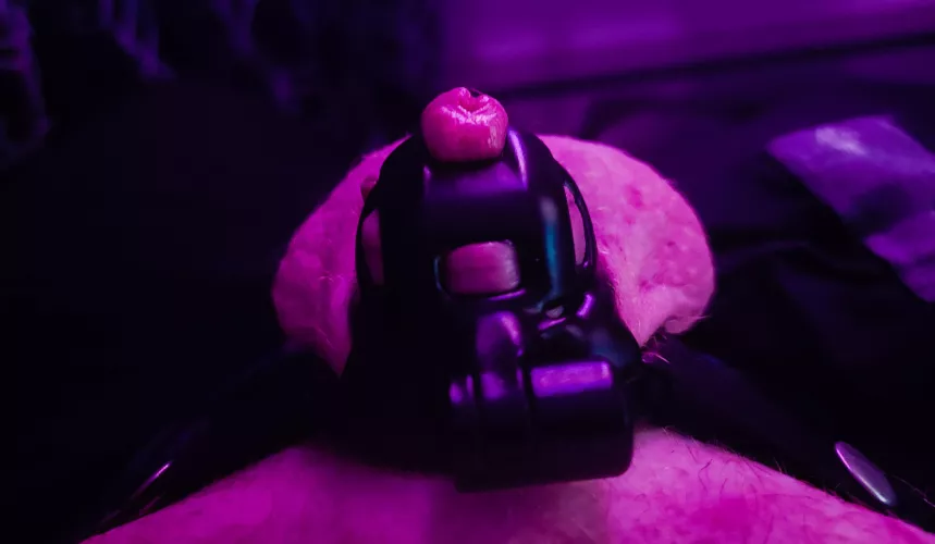 Locktober 18th: looks like I wanted out.