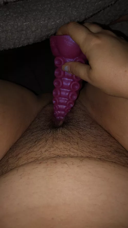 Love my Ika! My first fantasy toy and definitely not my last!