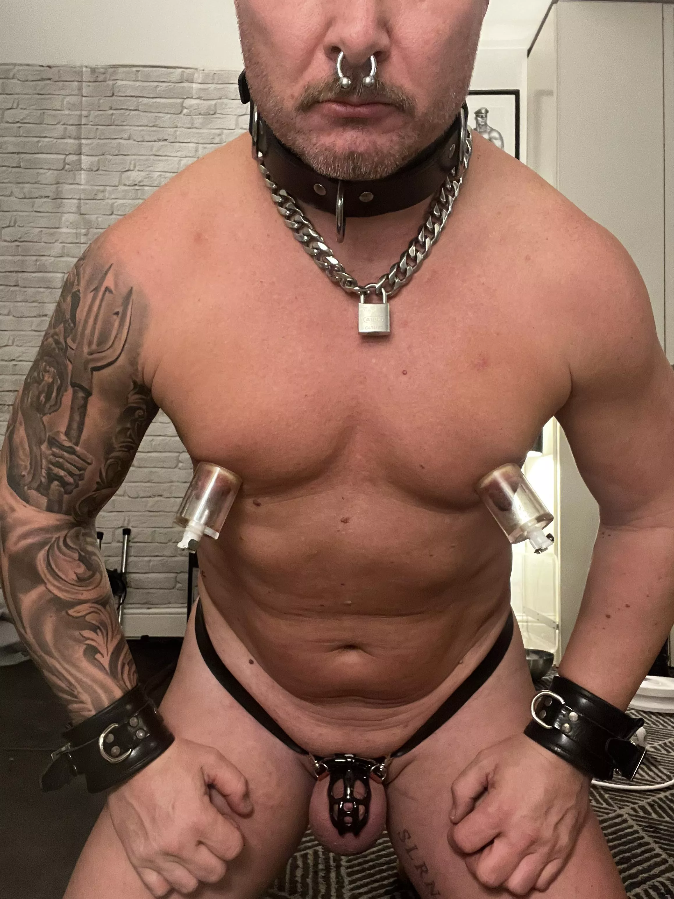 sslaves daily acts of submission: body fully shaved, scalp shaved, chain padlock visible, permanent chastity, plugged, naked indoors, septum piercing, tits pumped….