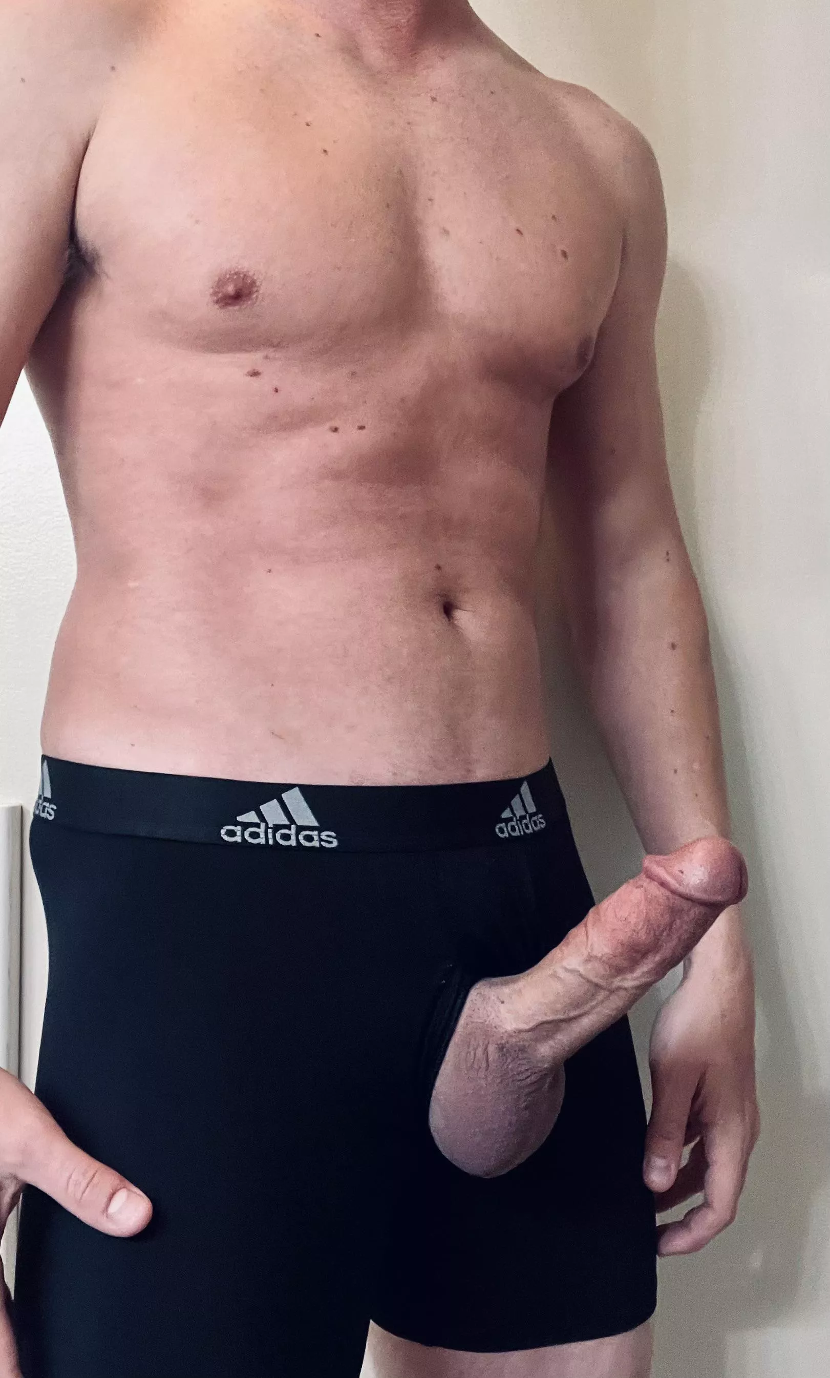 Through the fly and into your…. (38)