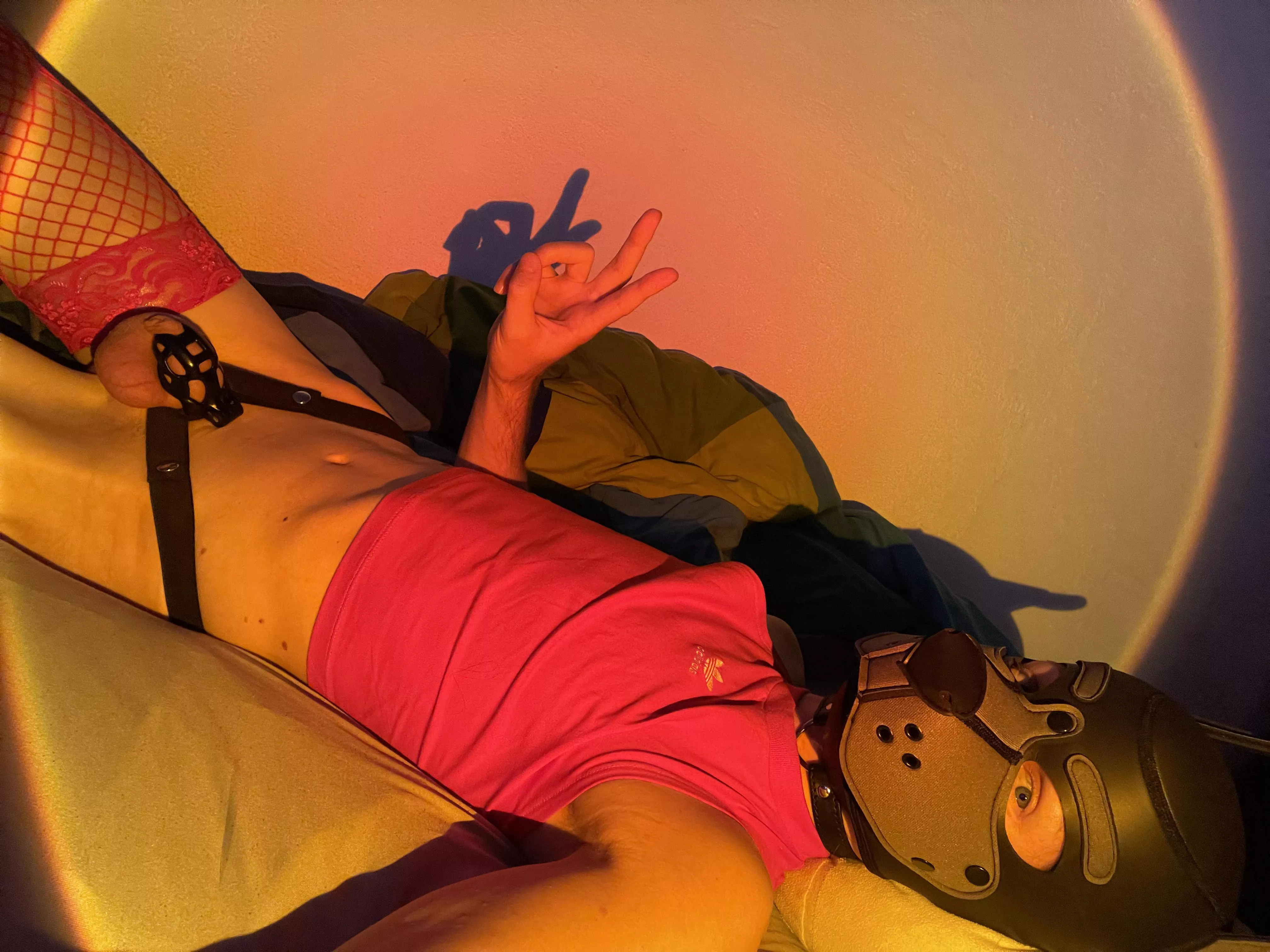 woofing around 🌈 🐾