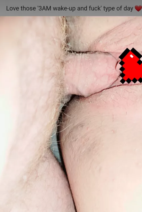 Any F interested in taking him from me in AZ? I know there are some cakes who would love a chance at fucking him, HMU