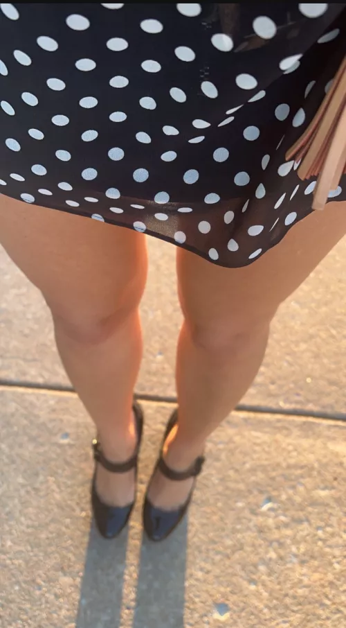 curiosity killed the kitten