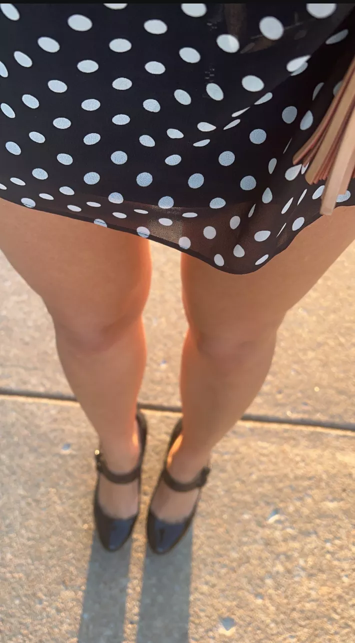 curiosity killed the kitten