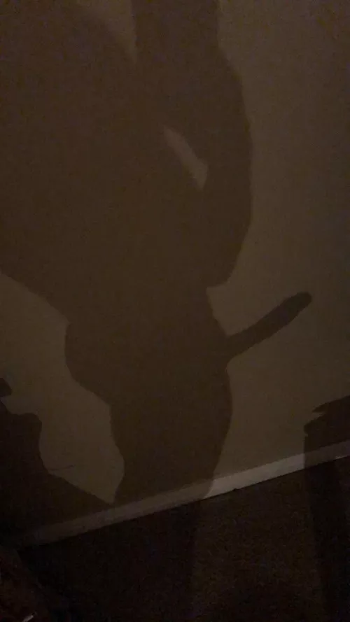 Shadow reveals all secrets