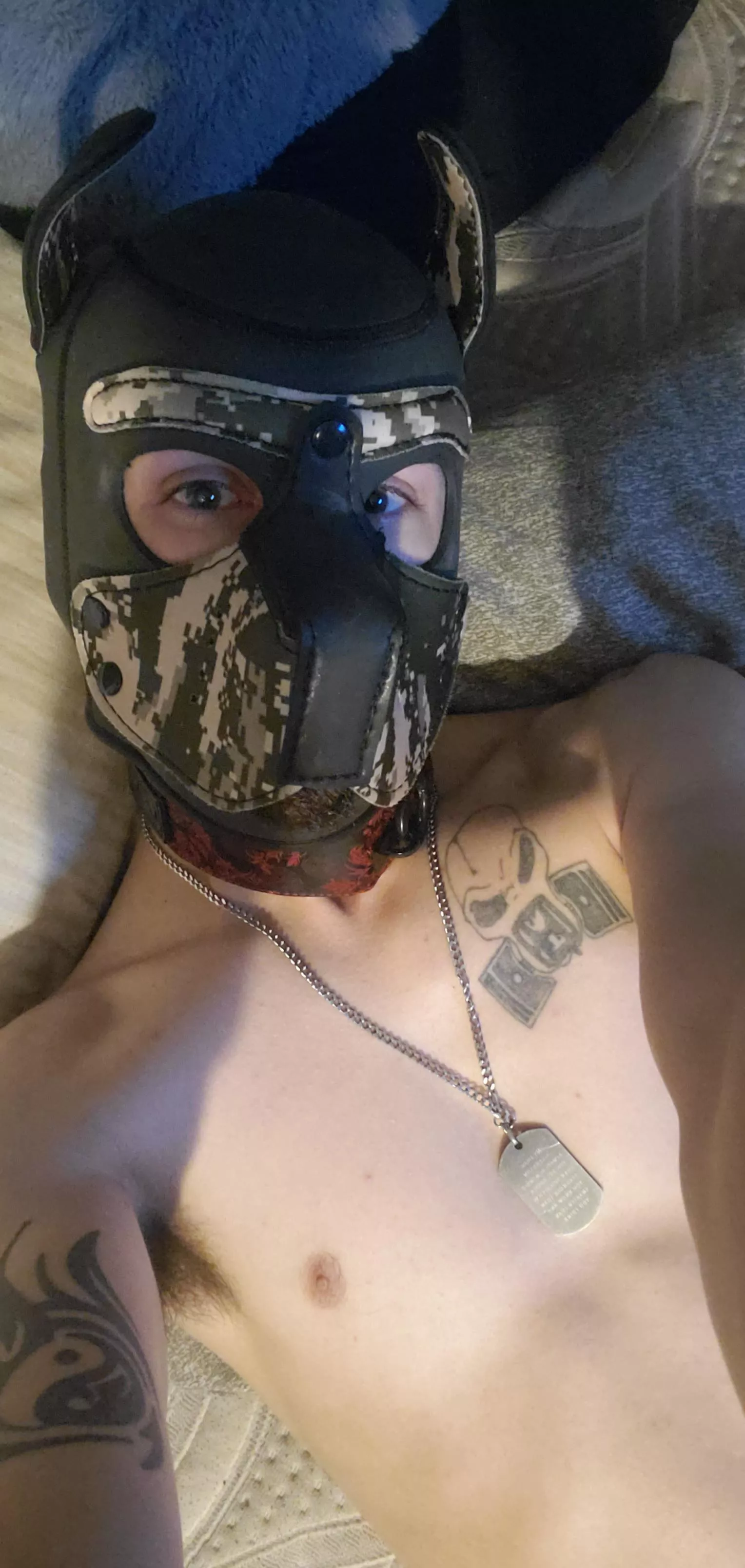 [23] Who wants to spoil me?