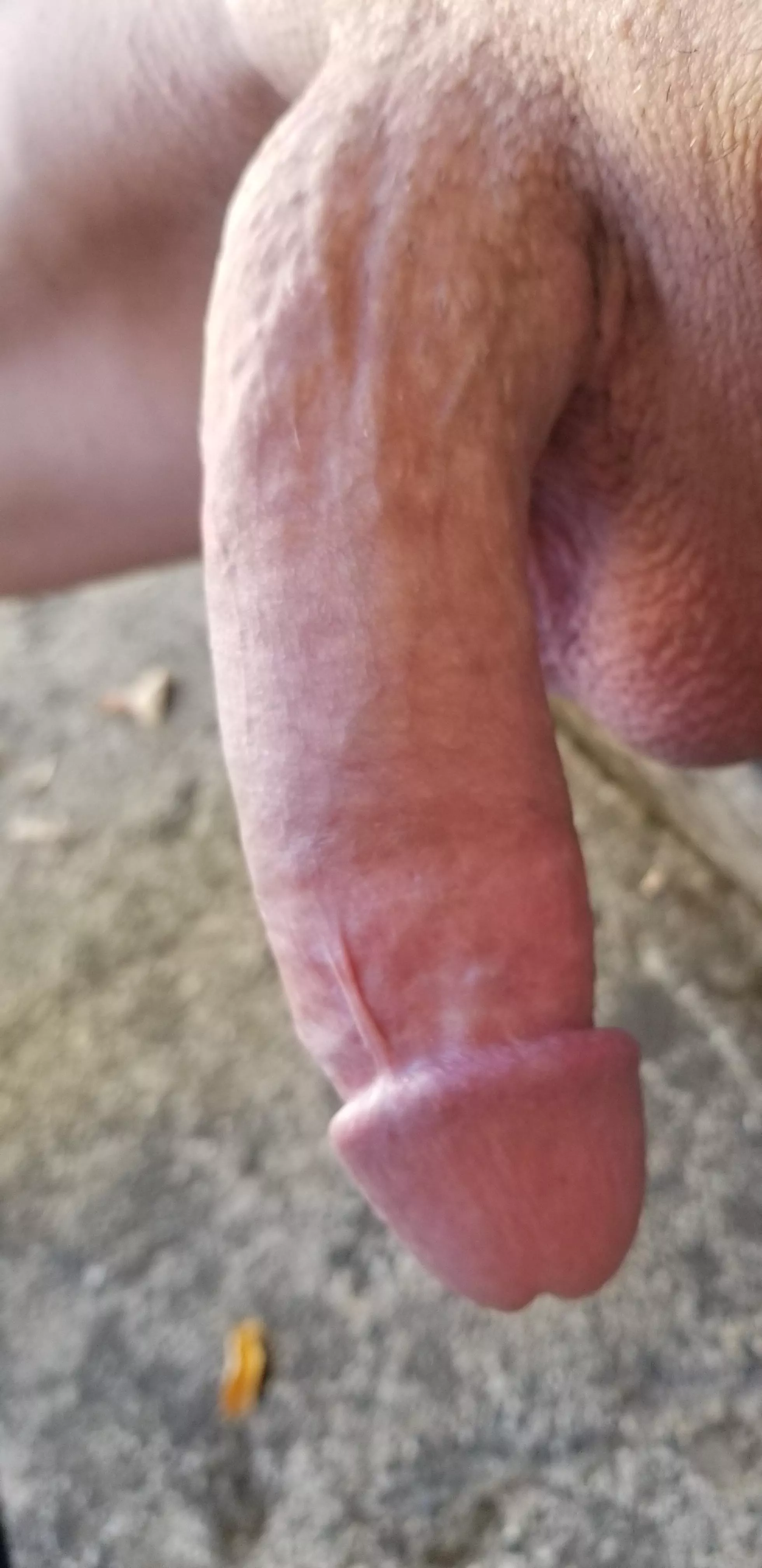 [59] Daddy is chilling on the porch again. Girls come by and say hi
