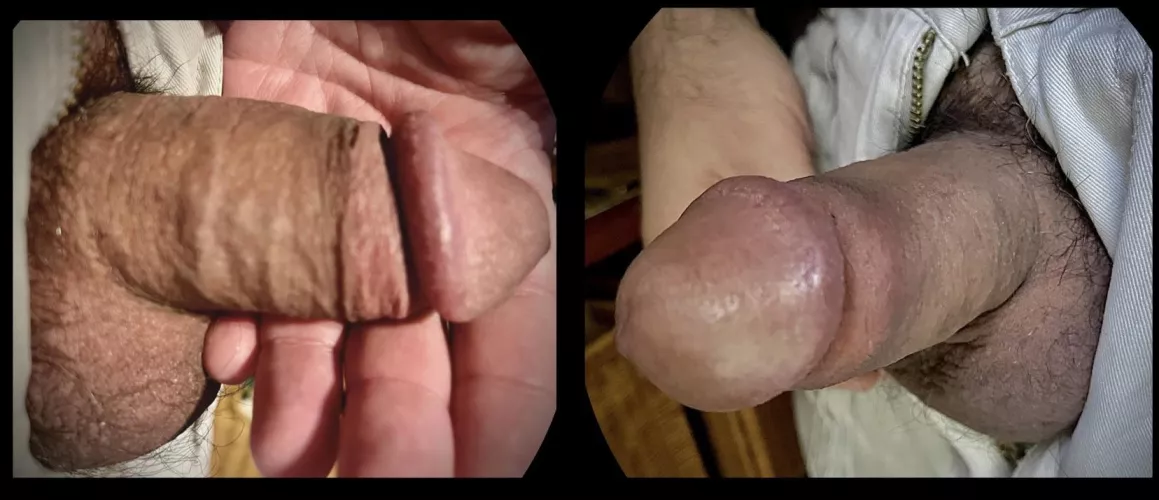 Acorn Grower Starting from a Half-Mast Morning Chub