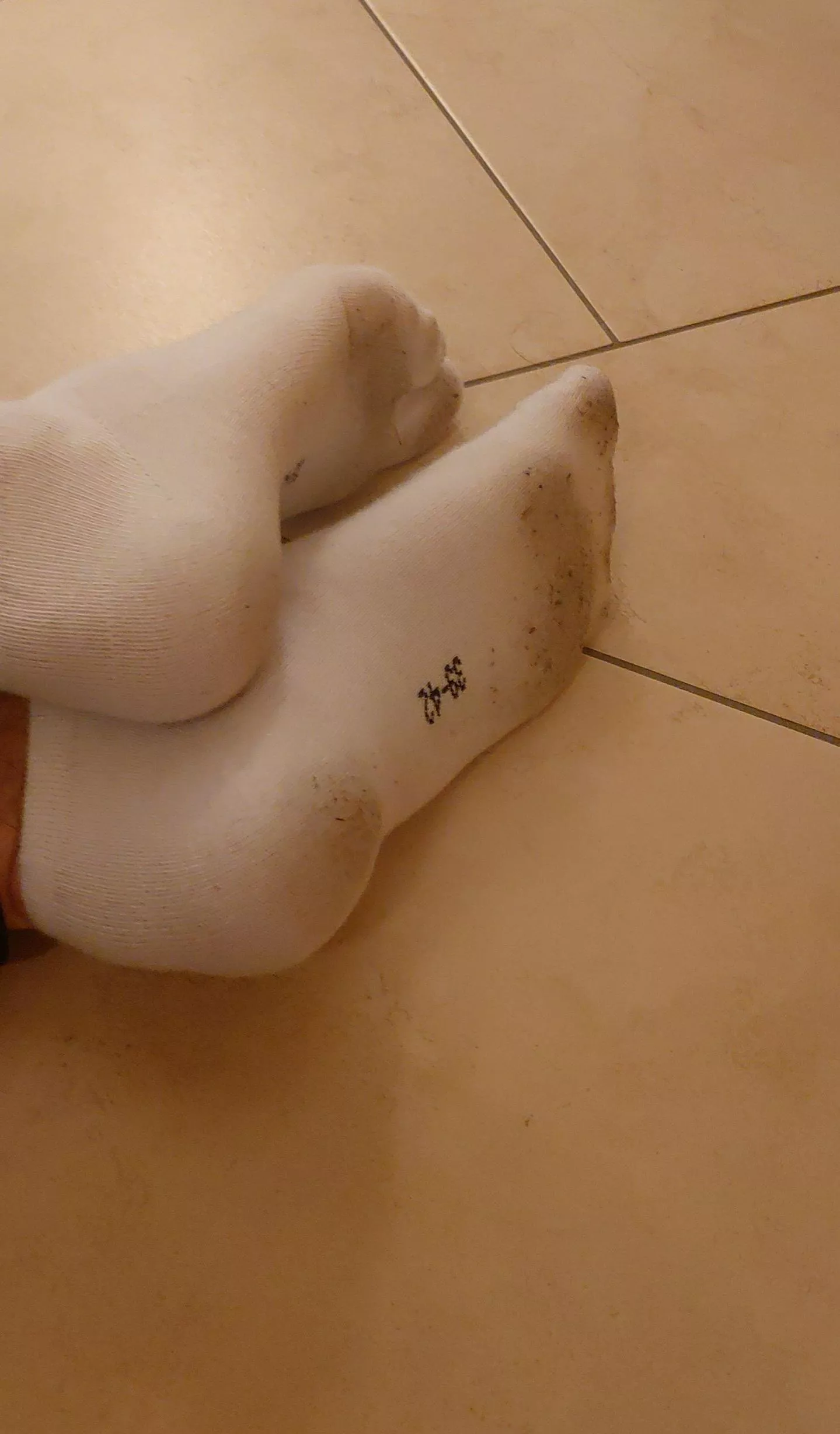 Dm me ro trade pictures of dirty socks with me