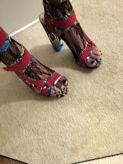 Just want my toes worshipped? 😔