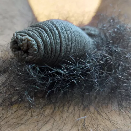 my little snout 🐽