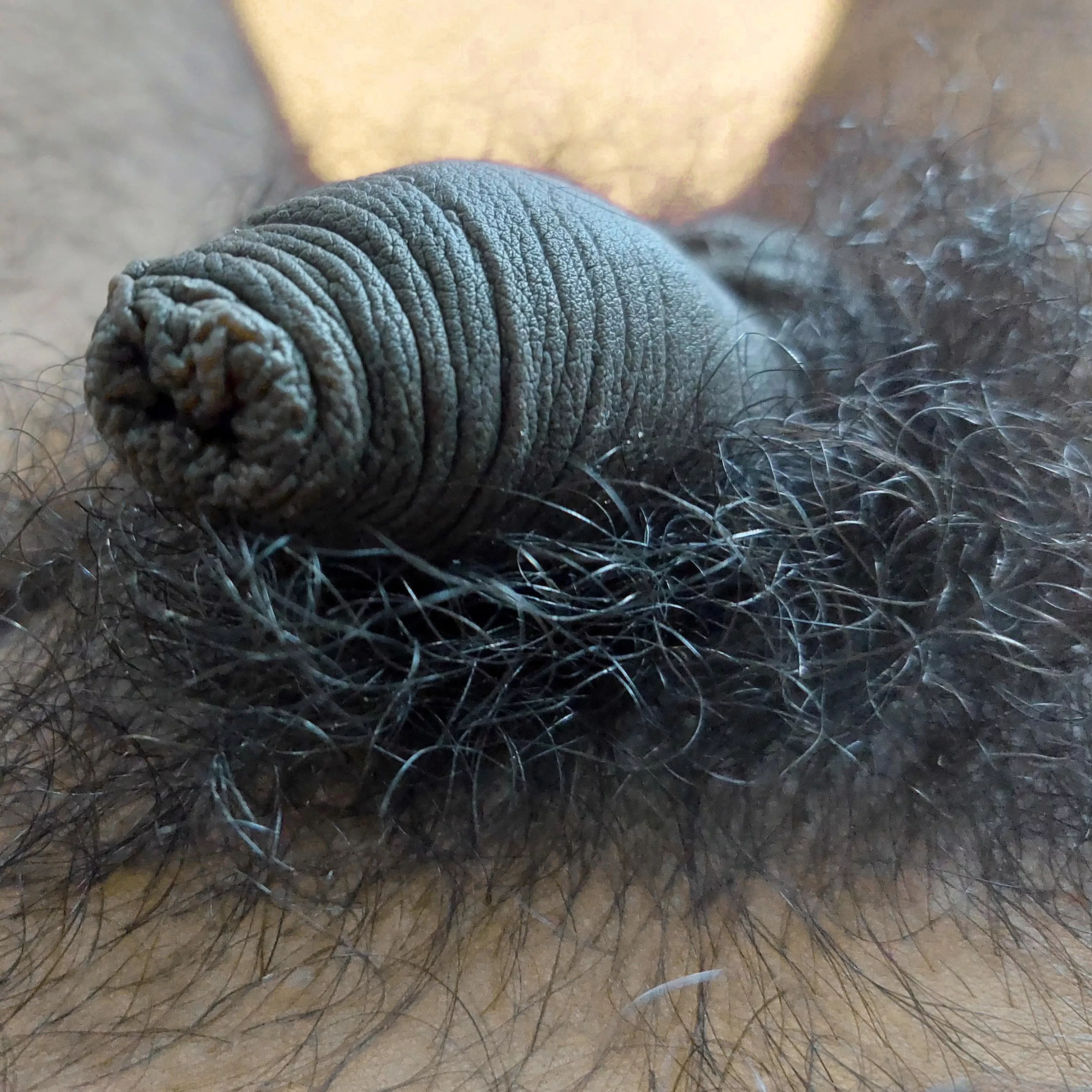 my little snout 🐽