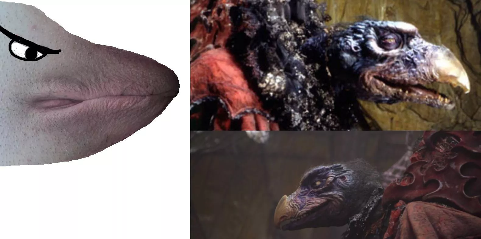 My wife’s simp is going as a Skeksis this year for Halloween lol